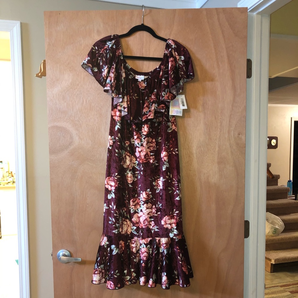 Stunning Velour Dress